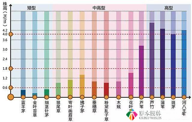 花园设计的色彩搭配技巧