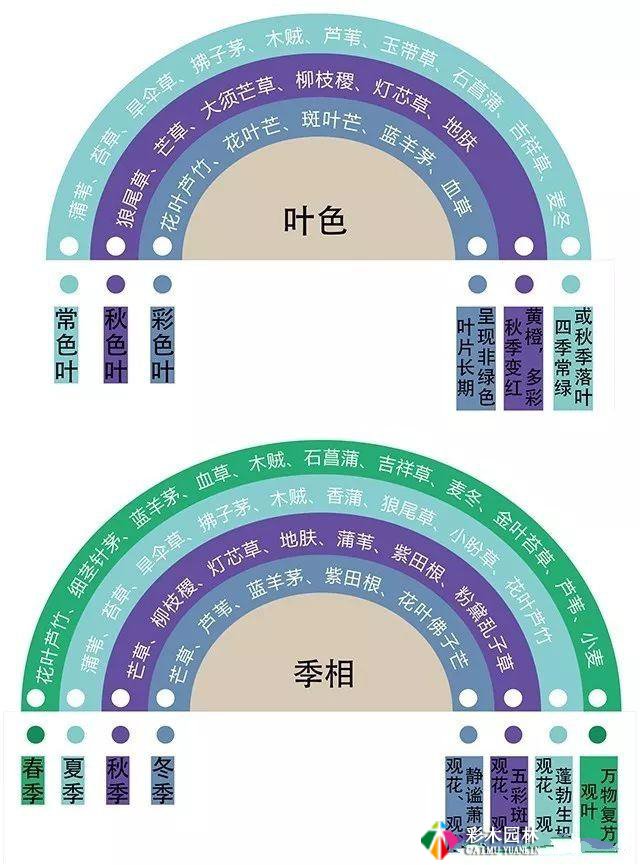 花园设计的色彩搭配技巧